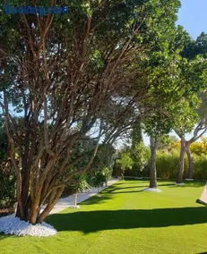 LA VILLA ALBA - Image 1