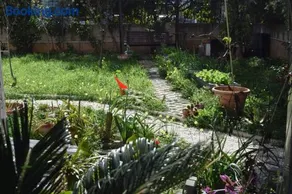h2h Anthi #Comfort apt near Athens - Image 3