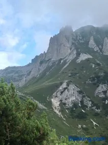 Affittacamere Valle Dorizzo di Scavoni Paolo - Image 2