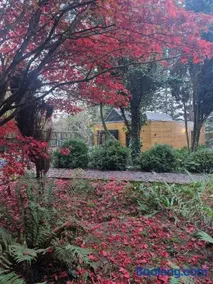 Ty Branwen- Luxury Woodland Lodge with Stunning Views - Image 2