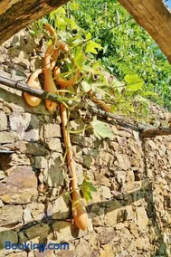 Agriturismo Costamagna - Image 4