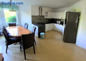 Vila v Podkrušnohoří - Image 1