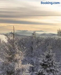 On Top Of Everything at Beech - Image 4
