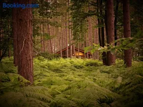 Glentress Forest Cabins - Forest Holidays - Image 4
