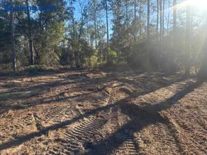 Nice 4,000 sqft vacant lot perfect for camping or weekend get away will need to bring your own tent or camper - Image 2