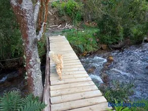Refugio y Tinaja Curiñanco - Image 3