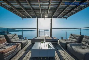 Olea Prime - Image 3