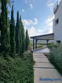 Reimond's place - Nahal Hilazon נחל חילזון - Image 4