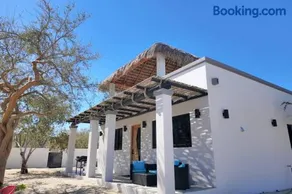 Beautiful modern house with a rustic palapa shade - Image 2