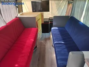 terrebioBus - Image 4