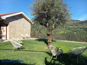 Quinta Pedra do Rio - Oliveira - Image 3