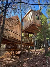 Little Birds Treehouse - Image 1