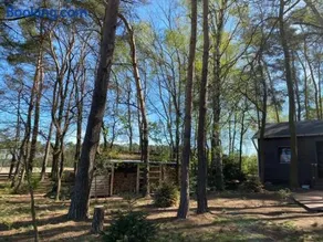 Maison conviviale et familiale avec sauna, terrasse et barbecue | Avec animaux admis - Image 1