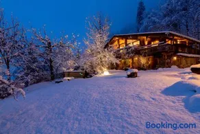 Luxus Chalet Mühlermoos - Image 2