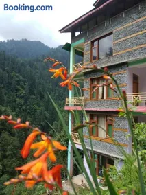 The Forest Pinnacle and Café, Jibhi - Image 1