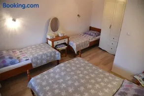 Nestor - Image 3