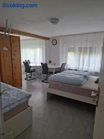 Einliegerwohnung mit 2 Zimmern, Badezimmer, küche - Image 2