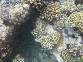 Star Of Dahab Hotel - Image 2