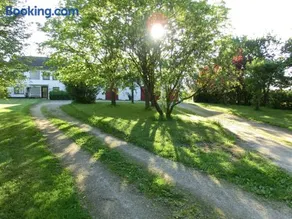 Lindenhof Hahn - Image 1