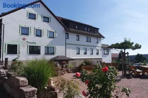 Landhotel Traube - Image 1
