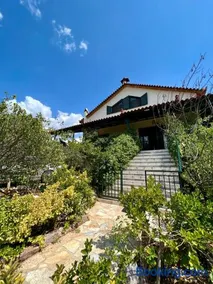 Estate Tsiati - Κτήμα Τσιάτη - Image 2