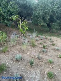 La Foresteria- Azienda agricola Garra - Image 2