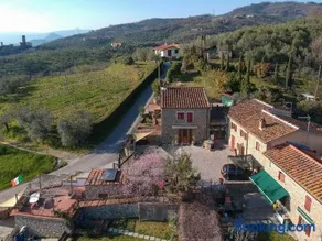 Antica Tinaia - Image 4