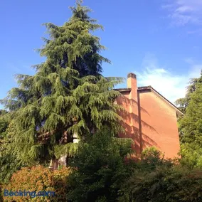 B&B Il Picchio - Image 4