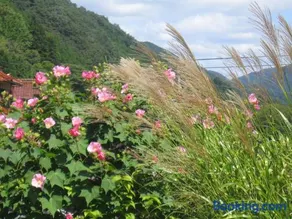 Japanese Style Inn Dohzen Miwa - Image 2