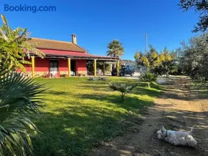 La Buganvilla, descanso entre olivares - Image 1