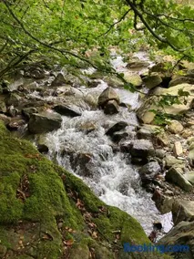Snowdonia Holiday Lodges - Image 2