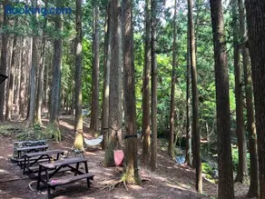 清流と森林の山荘 Tanzawa Forest Villa - Image 2