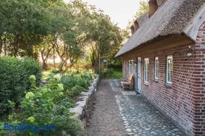 Entzückende Reetdachkate am Feldrand mit Kamin - Image 1