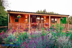 Cherry Tree Glamping - Image 3