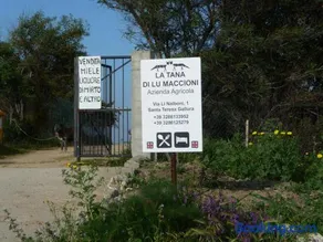 Agriturismo La Tana di Lu Maccioni - Image 1