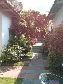 Sunshine Bungalow - Image 5