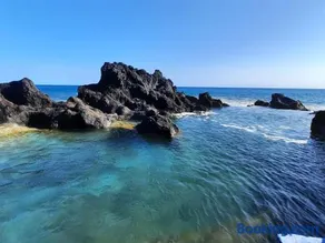 QVA - Quinta Velha das Amoreiras - Image 3