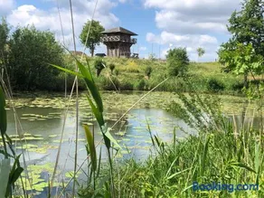 Campingpark de Linie - Image 3