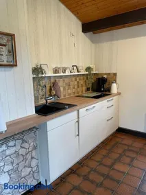 H5 Haus Schwalbennest Kaminofen WLAN - Image 1