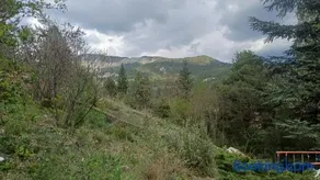 Chambre d'hôte la palud - Image 2