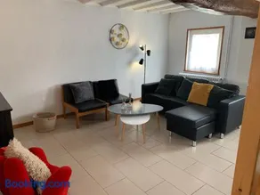 La ciboulette - Image 3