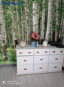 Studio Leśne - Image 3