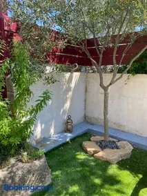La Vigne - Image 4
