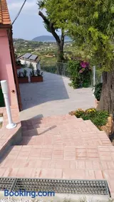 Il Vecchio Mandorlo - Image 3