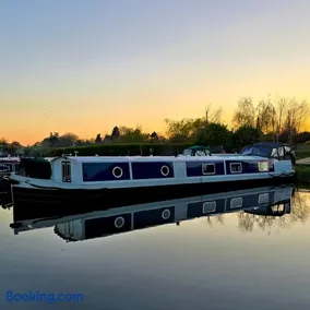 Dragonfly at Aston Marina - Image 1