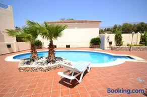 9 Amaranto - Image 3