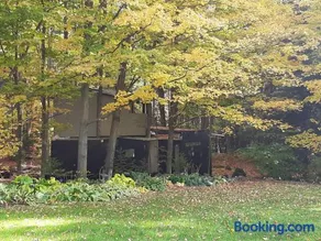 Black Pine Tree House - Image 4