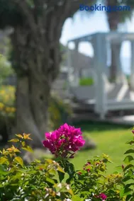 Bodrum Infinity - Image 4