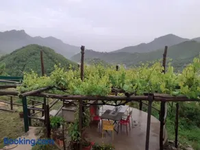 La Casa in Vigna - Image 2