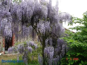 Gîte climatisé de La Haute Rue - Image 1